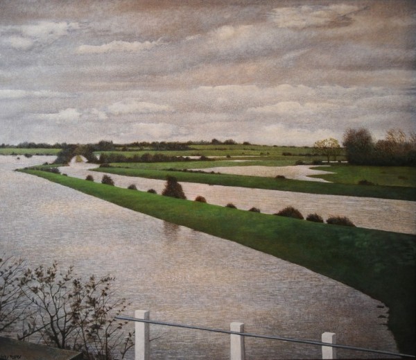 Fields In Flood